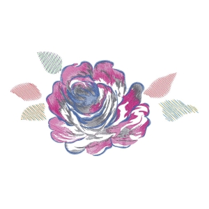 美丽花卉