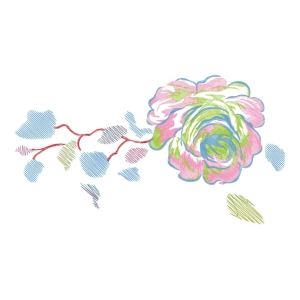美丽花卉