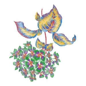 美丽花卉
