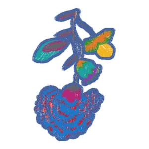 美丽花卉