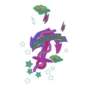 锚