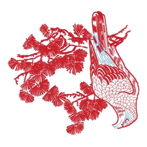 鹰松树