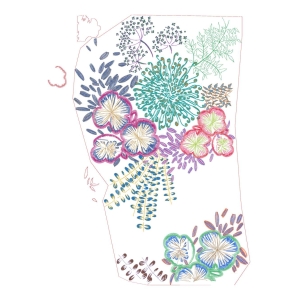 美丽花卉