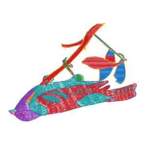 小鸟