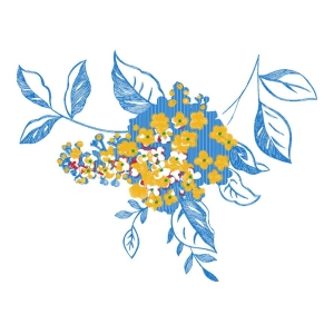 美丽花卉