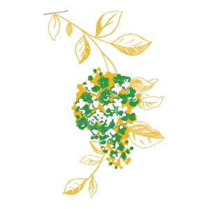 美丽花卉
