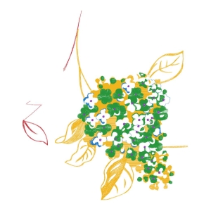 美丽花卉
