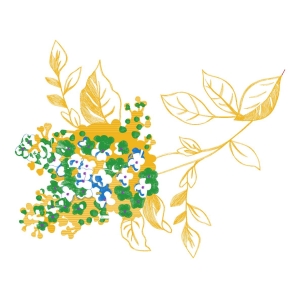 美丽花卉