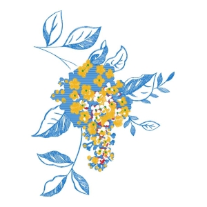 美丽花卉