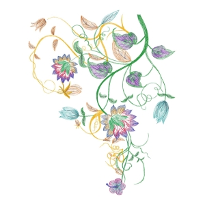 美丽花卉
