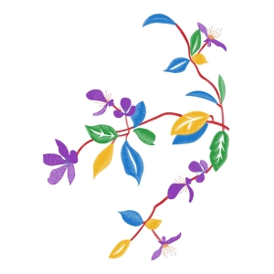 美丽花卉
