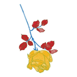 美丽花卉