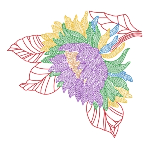 美丽花卉