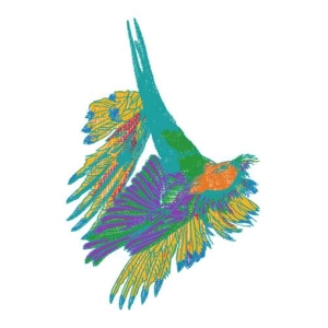 鸟