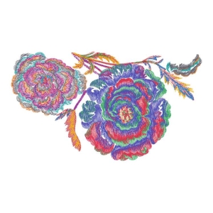 美丽花卉