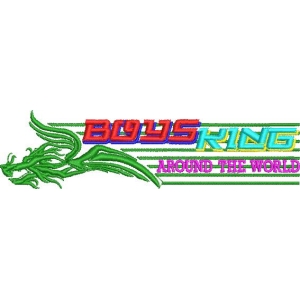 龙形标志BOYS