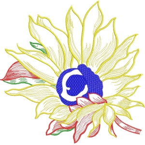 彩色刺绣花卉图案