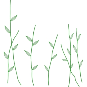 绿色藤蔓植物图案