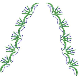 绿色植物结构示意图