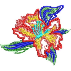彩色刺绣花卉图案