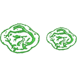 绿色三维生物结构模型