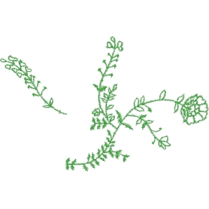 绿色植物枝叶结构图
