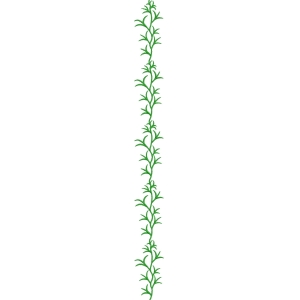 绿色植物藤蔓装饰图案