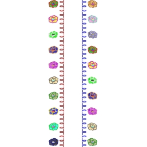 彩色花朵图案排列图