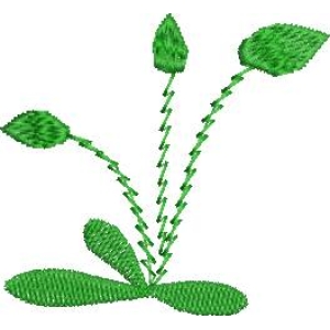 绿色植物刺绣图案