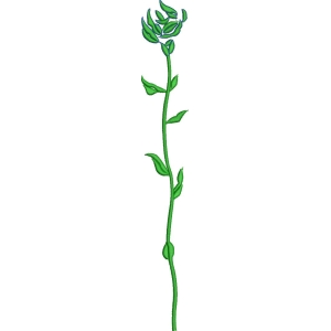 绿色植物茎叶示意图