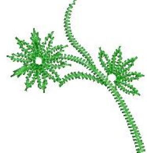 绿色植物三维模型