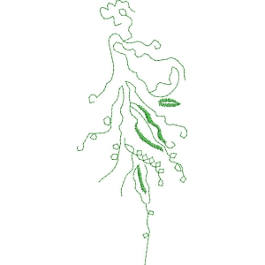 绿色线条构成的抽象植物