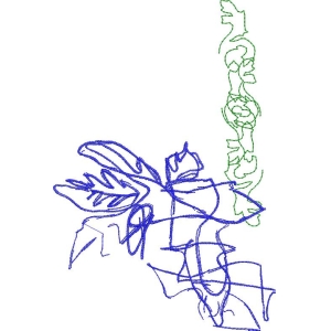 蓝绿线条植物草图