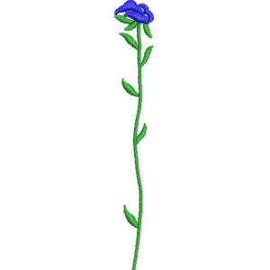 蓝色花朵植物插图