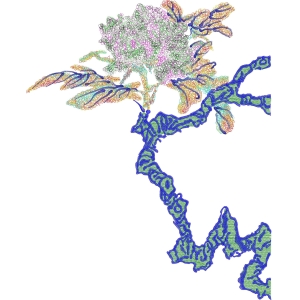 彩色抽象生物结构图