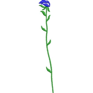 蓝色花朵植物插图
