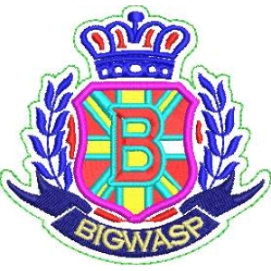 BigWasp徽章标志