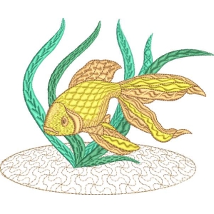 金鱼游动于水草间