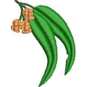 绿色叶片与橙色果实