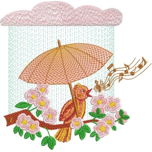 雨中鸟儿撑伞唱歌