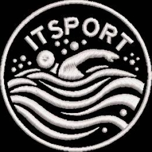 ITSPORT标志徽章