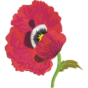 刺绣罂粟花图案