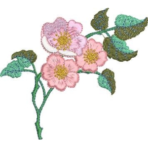 刺绣花卉图案