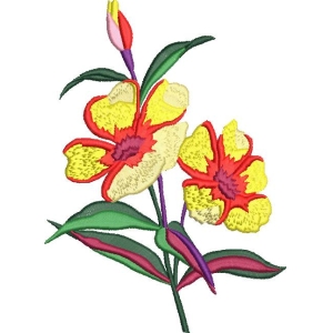 彩色花卉刺绣图案