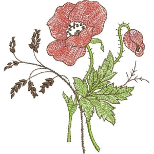 刺绣罂粟花图案