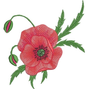 刺绣虞美人花图案