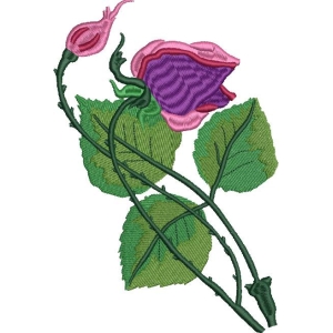 刺绣玫瑰花图案