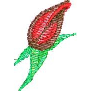 刺绣玫瑰花图案