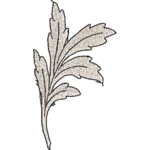 植物叶片图案