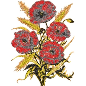 红色罂粟花与麦穗插画
